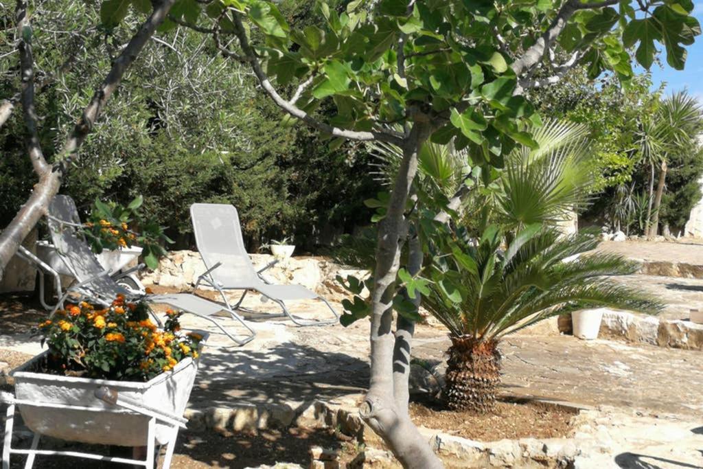 Villa Arenella Vieste Bagian luar foto