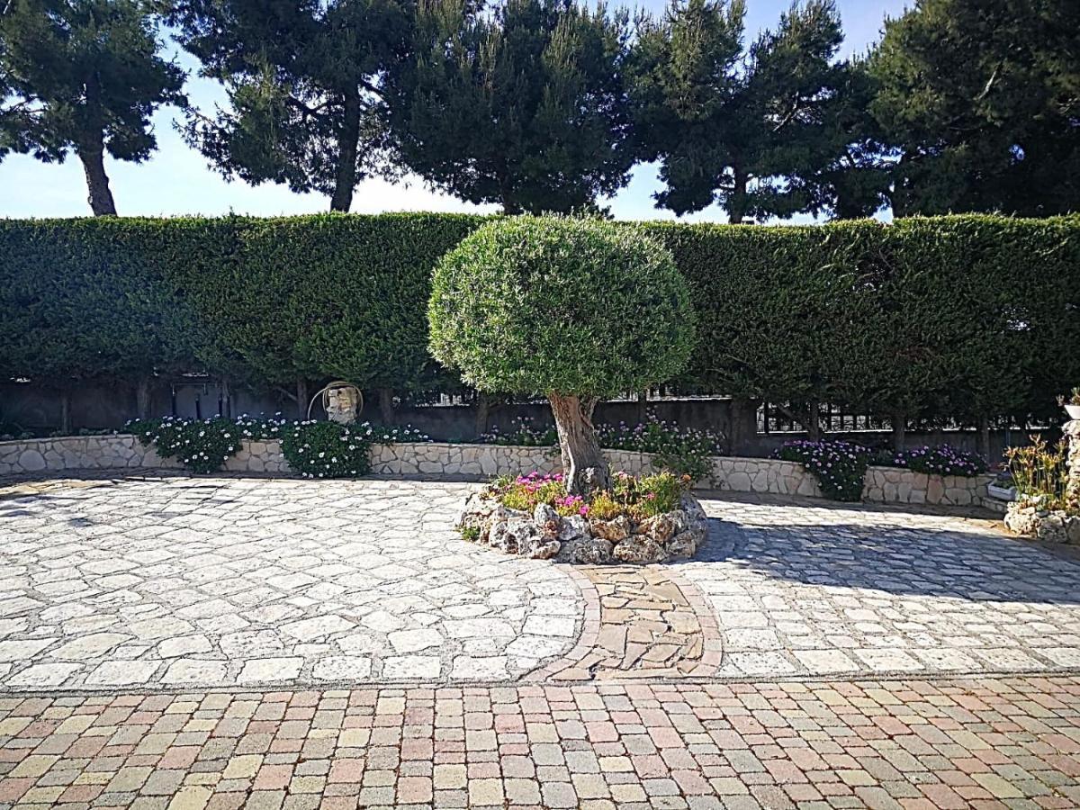 Villa Arenella Vieste Bagian luar foto